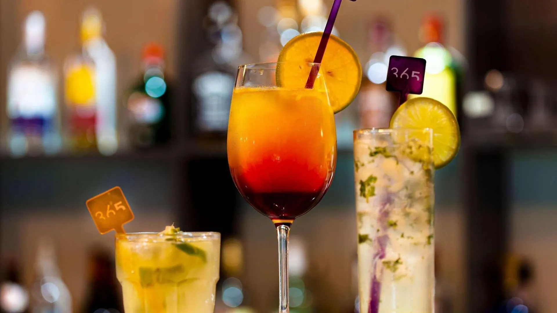 Hotel Novotel São José dos Campos